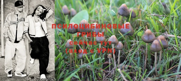хмурый Белоозёрский