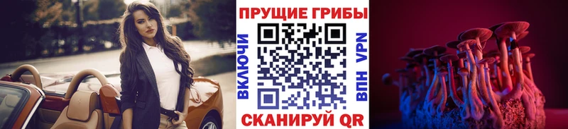 сайты даркнета официальный сайт  Короча  Псилоцибиновые грибы мухоморы  что такое наркотик 